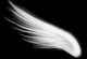 0286.gif (1366 bytes)