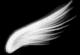 0287.gif (1365 bytes)