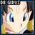 code28.gif (2667 bytes)